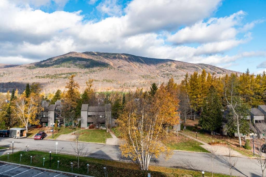 INITIAL - FOREST FRIENDS - Mont-Sainte-Anne Beaupré Extérieur photo